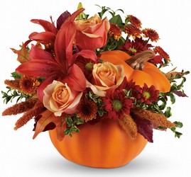 Autumn's Joy  from Kinsch Village Florist, flower shop in Palatine, IL